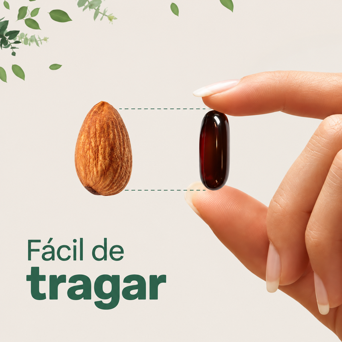 Cápsulas Aceite de Semilla de Calabaza
